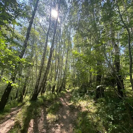 Sanmari_forest Chaletu